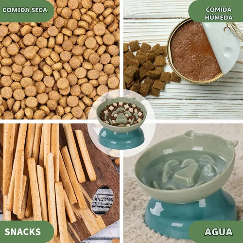 Vista 8 de Cuenco de cerámica para gatos de alimentación lenta Verde