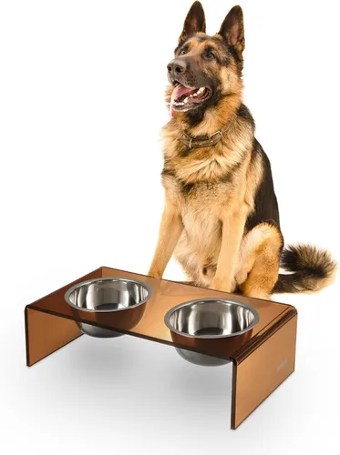 Vista 16 de DBL2000B Keaton - Comedero rectangular elevado moderno de lucita para mascotas de 5 pulgadas, tamaño pequeño/mediano, con 2 cuencos de acero