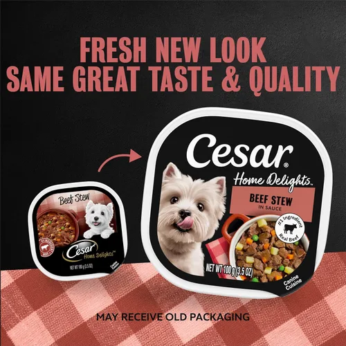 Vista 2 de Alimento húmedo para perros adultos de Cesar home