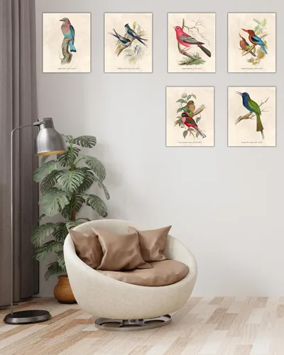 Vista 3 de Nilem Design Arte de pared vintage de pájaros, juego de 6 impresiones sin marco de 8 x 10 pulgadas, carteles de ilustración de naturaleza antigua