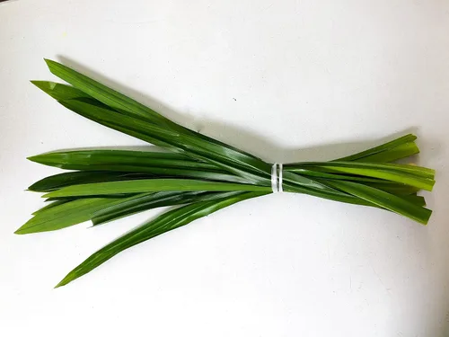Vista 3 de Hojas de Pandan Frescas - 7 Oz