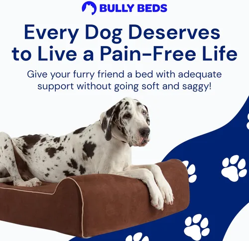 Vista 2 de Bully Beds Cama ortopédica para perros – Cama de espuma viscoelástica para perros artríticos y ancianos – Cama para perros lavable a máquina