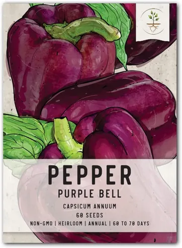 Vista 54 de Seed Needs - Semillas de pimiento arcoíris para plantar verduras, 1 paquete