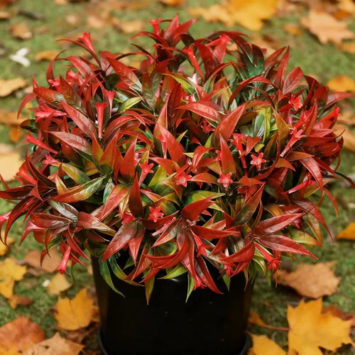 Vista 12 de Uieke 6 plantas artificiales para exteriores, resistentes a los rayos UV, flores falsas de gloria matutina con hierba naranja, flores tropicales
