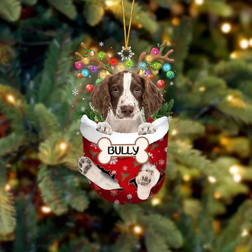 Vista 141 de IZI POD Affenpinscher Adorno de Navidad personalizado para perro, adorno de bolsillo de nieve para perro para árbol de Navidad, adorno acrílico