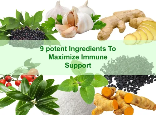 Vista 4 de Refuerzo de apoyo inmunológico - Baya de saúco orgánico Apoyo inmunológico optimizado 800 mg - 60 cápsulas vegetales Ahorra tiempo con un