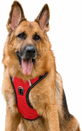 Vista 24 de Arnés antitirones para perro pequeño con 2 hebillas de liberación rápida y mango de fácil control, chaleco suave reflectante sin estrangulamiento