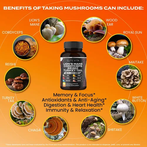 Vista 4 de Suplemento de hongos nootrópicos: melena de león, Cordyceps, Reishi, mezcla de chaga para mejorar la concentración, la memoria, el apoyo cognitivo