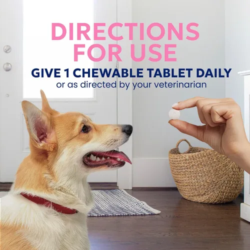 Vista 7 de Nutramax Probióticos Proviable para perros, Suplemento diario de salud digestiva con múltiples cepas de bacterias, probióticos para perros más