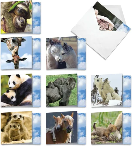 Vista 11 de The Best Card Company - Tarjetas de animales en blanco en caja, 4 x 5.12 pulgadas, mascotas surtidas, zoológico, tarjetas de vida silvestre