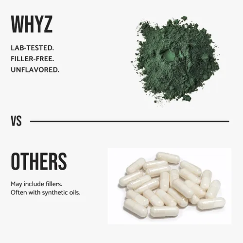 Vista 6 de WHYZ Polvo de espirulina orgánica, 8.82 oz, suplemento de espirulina rico en proteínas, superalimento orgánico para apoyo inmunológico, polvo