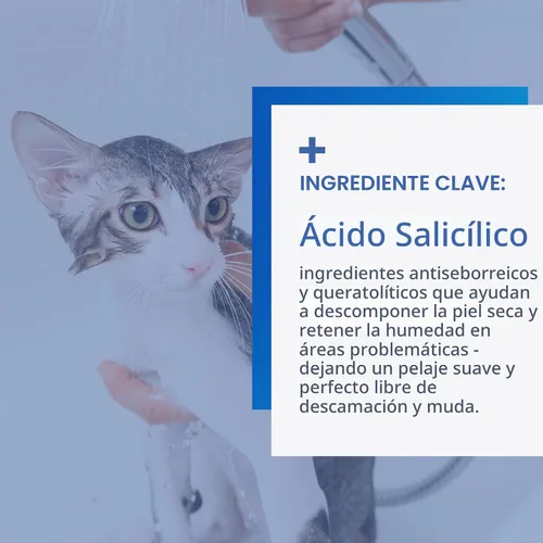 Vista 4 de Champú medicado antiseborreico para perros y gatos, 12 onzas