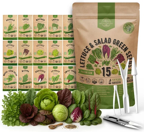Vista 7 de Organo Republic Paquete de Variedad de 10 Semillas de Lechuga y Verduras para Ensalada 13000+ Semillas de Lechuga Reliquia Sin OMG para Plantar