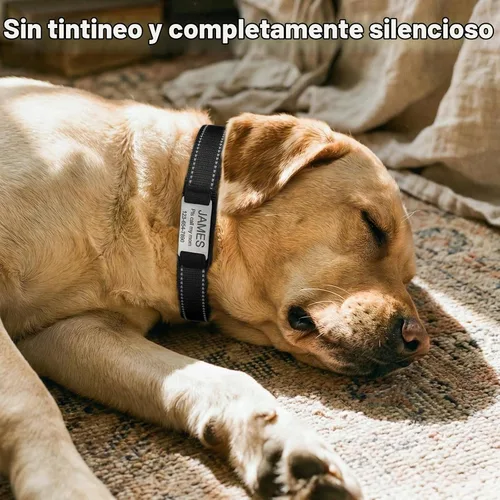 Vista 4 de Joytale Collares para perros personalizados, collar de nailon reflectante con placa de nombre grabada, personalizado para perros pequeños, negro, S