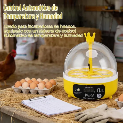 Vista 4 de Mini incubadora de huevos, incubadora de 4 huevos, máquina para eclosionar el hogar, control automático de temperatura y humedad para granja, aula