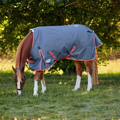 Vista 2 de WeatherBeeta ComFiTec Essential Plus Cuello Estándar Mediano, Gris/Naranja/Azul, 57