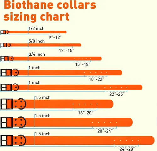Vista 179 de Dogline Biothane - Collar impermeable para perro con hebilla de liberación rápida, resistente cincha de nailon recubierta con resistente y a prueba