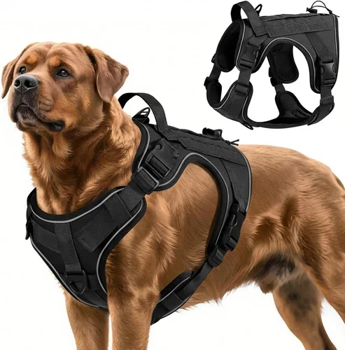 Vista 46 de VavoPaw cinturón de seguridad para perro, arnés de coche con hebilla ajustable para perro, cinturón de seguridad de nailon para mascotas, resistente