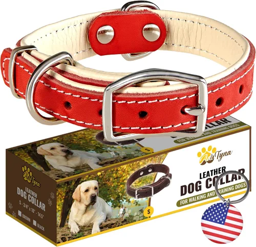 Vista 12 de ADITYNA Collar de perro de cuero negro resistente para perros pequeños, acolchado suave para mayor comodidad, collar de perro pequeño para caminar