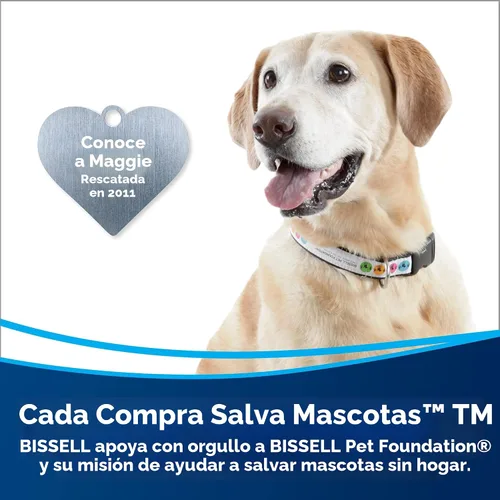Vista 2 de Bissell CleanView Aspiradora vertical sin bolsa con varilla activa, 3536