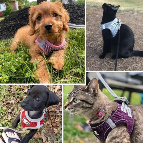 Vista 7 de Arnés universal para perros y gatos con correa, arnés para gatos a prueba de escapes, arnés reflectante ajustable para perros pequeños y perros