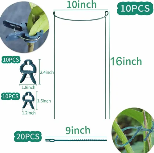 Vista 2 de TCBWFY Paquete de 10 estacas de soporte para plantas de peonía, 10 pulgadas de ancho x 16 pulgadas de alto, jaulas de peonía de alta resistencia