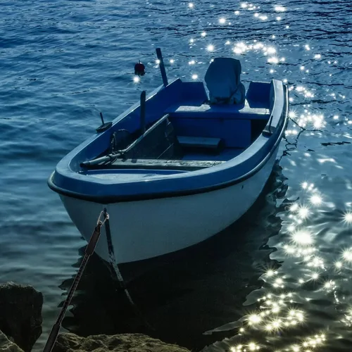 Vista 7 de 4 líneas de muelle elástico, líneas de barco elástico de 2 pies con cuerda de amarre de clip inoxidable 316 para muelle, kayak, embarcación