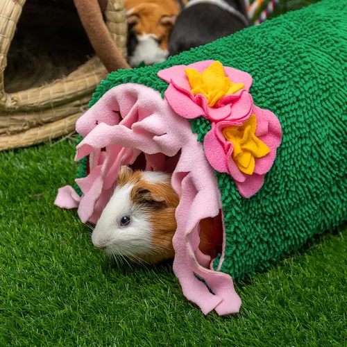 Vista 6 de Escondite de conejillo de indias, cama de felpa suave con cactus para mascotas y casa de túnel Verde