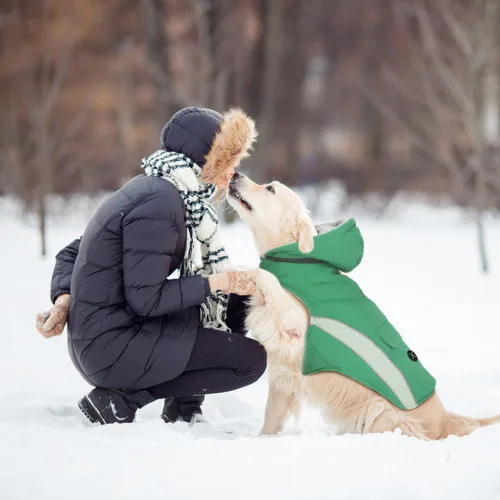 Vista 5 de EMUST Abrigo de invierno con capucha para perros, abrigos para perros medianos con bolsillo, chaquetas para cachorros medianos para perros medianos