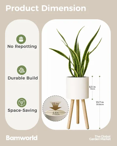 Vista 9 de Bamworld - Soporte para plantas de interior para plantas