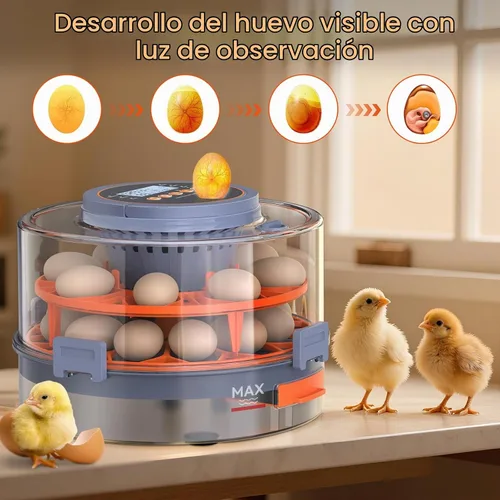 Vista 4 de Incubadora de huevos para incubar 18 huevos con giro automático, sensor de humedad, 5 modos preestablecidos, tapa transparente para observación