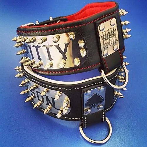 Vista 2 de Bestia Collar de perro personalizado para perreras, solo razas grandes. Tamaño L-XXL, 2.8 pulgadas de ancho. Acolchado. Fabricado en Europa