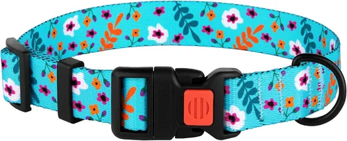 Vista 2 de Collar de perro de nailon con patrón floral aguamarina de 12 a 16 pulgadas