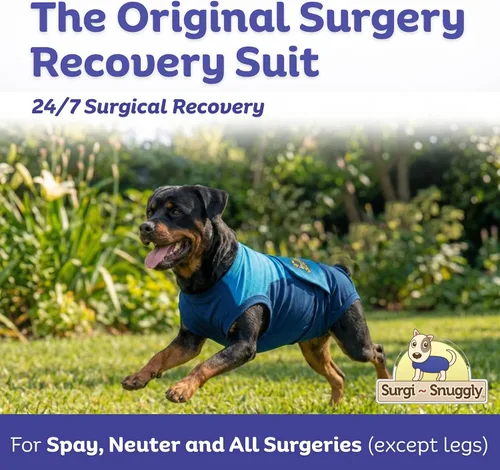 Vista 6 de SurgiSnuggly Traje de Recuperación Quirúrgica Inventado por Veterinarios para Perros Hembra o Macho, Esterilización, Castración, Mameluco, El Traje