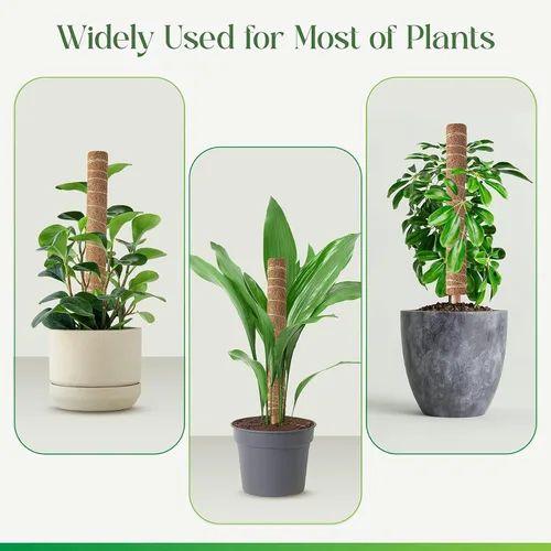 Vista 6 de Pisol Poste de musgo para plantas Monstera, soporte extensible, estacas para plantas en maceta de interior, enrejado de poste de fibra de coco