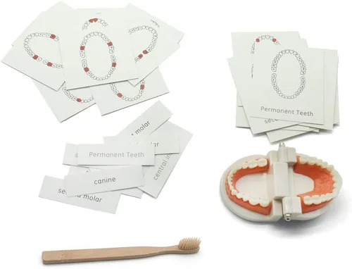 Vista 7 de MEROCO Montessori - Juego de tarjetas didácticas para niños pequeños