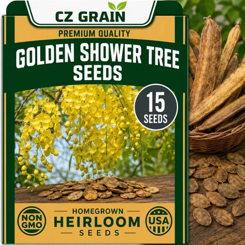 Vista 18 de CZ Grain Semillas para plantar, 40 pequeñas mezclas de calabaza