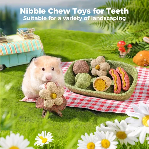 Vista 8 de mini&moe Juguetes masticables de hámster para dientes – Cuinea Pig, masticables y golosinas naturales para enriquecimiento de hámsters, mejoran