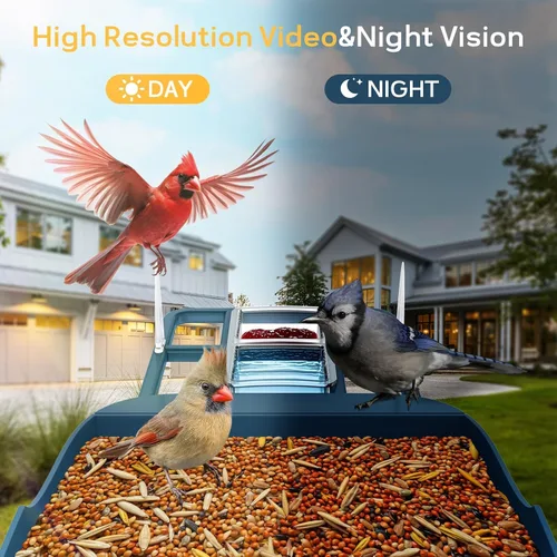 Vista 6 de Comedero para pájaros con cámara, cámara de comedero inteligente WiFi para exteriores con reconocimiento de aves AI incorporado, energía solar