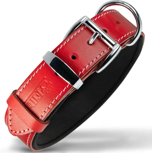 Vista 9 de Filbert Collar de cuero para perro, collar de cuero genuino para perros pequeños, estampado de patas en relieve con hebilla, grano completo curtido
