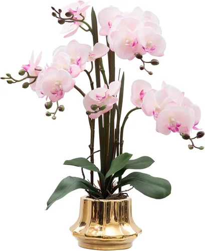 Vista 16 de CXGS Planta de orquídeas artificiales de 20.9 pulgadas, orquídeas artificiales de tacto real en jarrón de cerámica, arreglo floral de Phalaenopsis