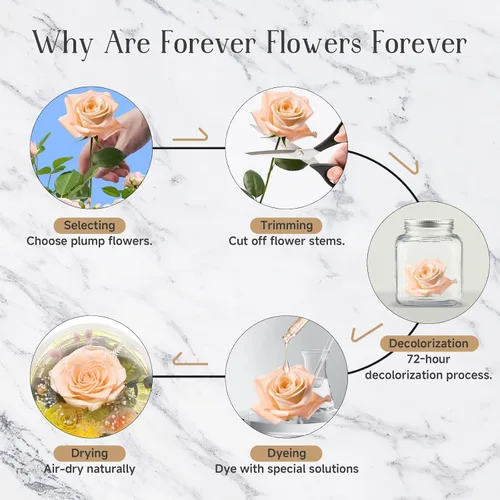 Vista 4 de Flores preservadas para mamá, rosas champán preservadas en cúpula de cristal con luz LED para novia, flores reales eternas para mujeres, regalo