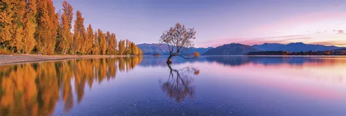 Vista 2 de Clementoni Collection 39608 - Rompecabezas panorámico de árbol del lago Wanaka, 1000 piezas, a partir de 10 años, multicolor