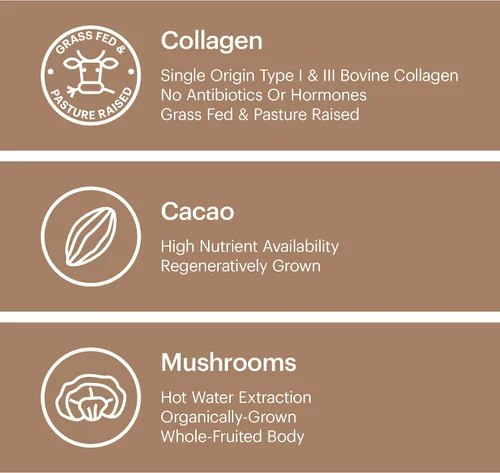 Vista 6 de Wellthy Superalimento en polvo de colágeno, combate el estrés y la fatiga, cacao, polvo de hongos, extractos orgánicos de chaga y reishi, matcha