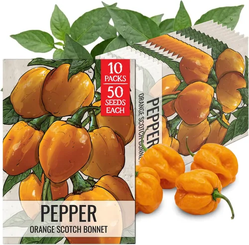 Vista 82 de Seed Needs - Semillas de pimiento arcoíris para plantar verduras, 1 paquete