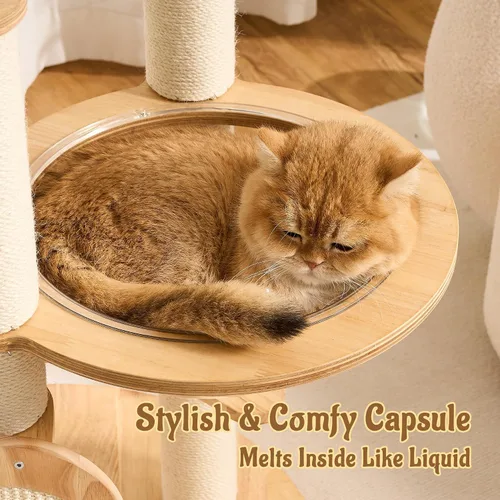 Vista 4 de Moderno árbol de madera maciza para gatos de interior de hasta 15 libras, torre para gatos de 49 pulgadas de alto con postes rascadores y rascador