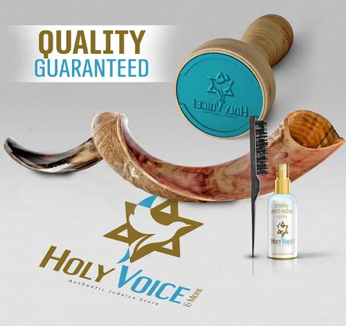 Vista 6 de Holy Voice Kosher Kudu Shofar Horn de Israel 24 a 28 pulgadas, juego tradicional de shofar yemenita medio pulido, incluye bolsa de transporte