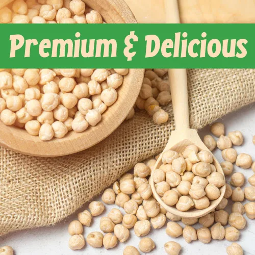 Vista 7 de Sincerely Nuts Garbanzos asados y sin sal (2 libras) Proteína a base de plantas, granos de garbanzo, gran aperitivo o guarnición, vegano, kosher