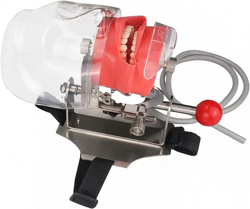Vista 3 de NSKI Simulador Dental Nissin Manikin Phantom Head Dental Phantom Head Modelo Banco Soporte para Educación Dentista