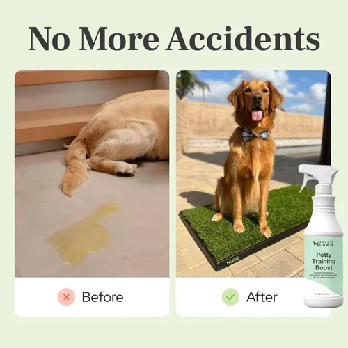 Vista 5 de DoggieLawn Spray de ayuda para el entrenamiento para ir al baño, aroma atractivo que ayuda a entrenar a los perros dónde ir al baño, formulado
